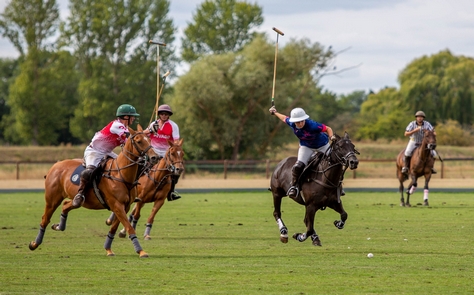 Joueur de polo